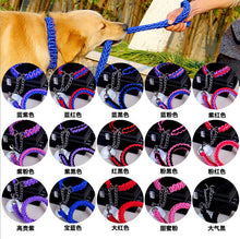 Load image into Gallery viewer, 1.2m Dog Leash & Collar