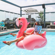 Load image into Gallery viewer, Shikkla Summer Flamingo &amp; Swan Float
