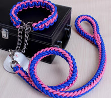 Load image into Gallery viewer, 1.2m Dog Leash & Collar