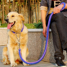 Load image into Gallery viewer, 1.2m Dog Leash & Collar