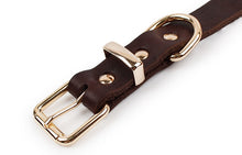 Load image into Gallery viewer, Top Quality Leather Dog Collar