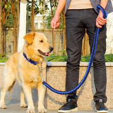 Load image into Gallery viewer, 1.2m Dog Leash & Collar