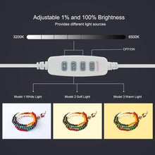 Load image into Gallery viewer, Mini Ring LED Lightbox