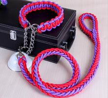 Load image into Gallery viewer, 1.2m Dog Leash & Collar