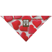 Load image into Gallery viewer, Kimberley Coffee Company Love Dog Bandana