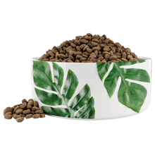 Load image into Gallery viewer, Tropical Dog Bowl