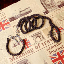 Load image into Gallery viewer, 1.2m Dog Leash & Collar