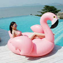 Load image into Gallery viewer, Shikkla Summer Flamingo &amp; Swan Float
