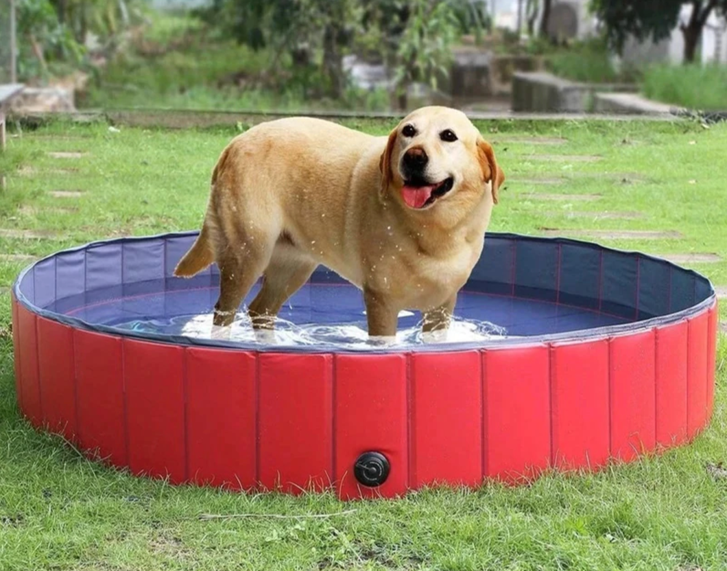 Portable Dog Pool & Bath